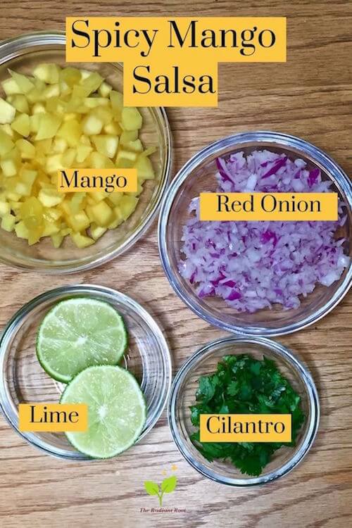 Spicy Mango Salsa Ingredients Mango peeled, pitted, and chopped, Red onion peeled and diced, 2 tbsp chopped cilantro, and 1 lime juiced | The Radiant Root