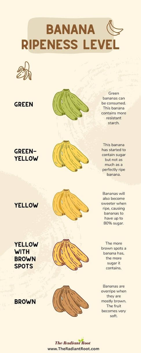 Banana Ripeness Level Infographic: Green Banana: Green bananas can be consumed. This banana contains more resistant starch. Green-yellow banana: This banana has started to contain sugar but not as much as a perfectly ripe banana. Yellow bananas: these bananas will also become sweeter when ripe, causing bananas to have up to 80% sugar. Yellow with brown spots banana: The more brown spots a banana has, the more sugar it contains. Brown banana: Bananas are overripe when they are mostly brown. The fruit becomes very soft. | Banana Bread No Added Sugar Recipe | The Radiant Root