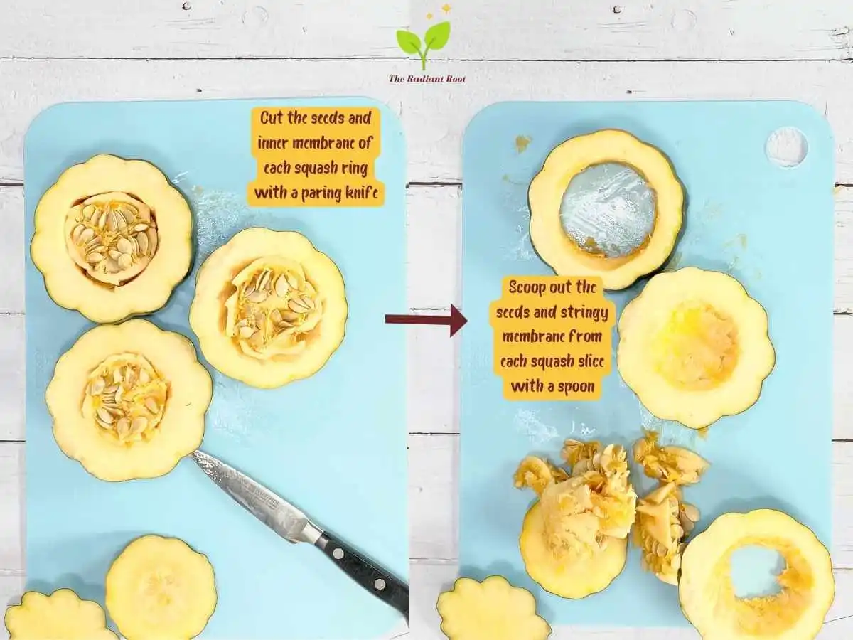 Instructions 6 and 7 of 19 for the baked acorn squash slices: Two photos side by side. On the left is a photo of the 3 acorn squash rings laying flat with a circular cut inside each of the acorn squash slices on a light blue cutting board on a white wooden table with the words “Cut the seeds and inner membrane of each squash ring with a paring knife. There is a red arrow in the middle pointing to the photo on the right. On the Right is a photo of the 3 acorn squash rings on a light blue cutting board on top of a white wooden table with all of the seeds and membranes removed in a pile on the side of the cutting board. The words read “scoop out the seeds and stringy membrane from each squash with a spoon.” | Baked Acorn Squash Slices | The Radiant Root