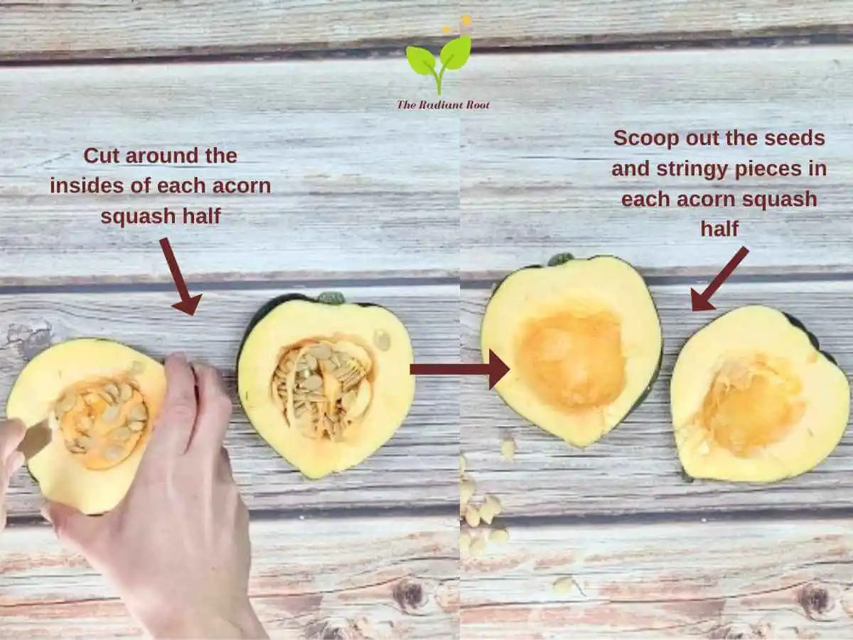 Acorn Squash Recipe Instruction Photo 2 of 8: Two photos next to each other. On the left is a wooden table with hands cutting around the inner seeds and stringy part of one half of an acorn squash next to an acorn squash that has a cut already inside the acorn squash with the words "Cut around the insides of each acorn squash half." The other photo on the right is a wooden table with two halves of an acorn squash with the seeds and stringy parts removed in each of the halves of the acorn squash with seeds and the stringy part on the table with the words "Scoop out the seeds and stringy pieces in each acorn squash half." Then on the bottom there is a number two inside a circle representing the 2nd step of the recipe | The Radiant Root