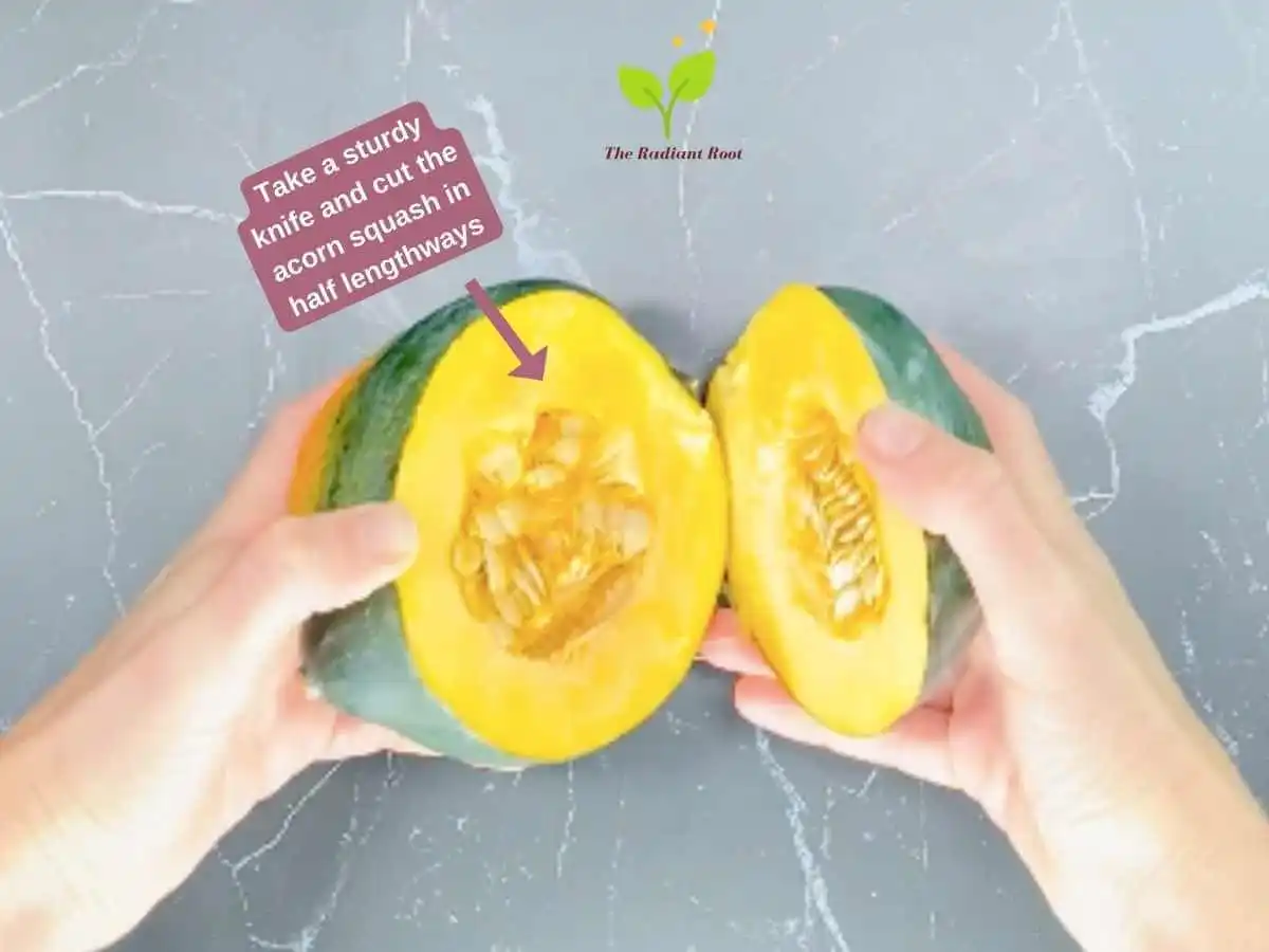 Instruction 2 of 10 for the crock pot acorn squash: A grey slab background with two hands holding an acorn squash cut open showing the inside seeds and stringy membrane. says “Take a sturdy knife and cut the acorn squash in half lengthways” | Crock Pot Acorn Squash | The Radiant Root