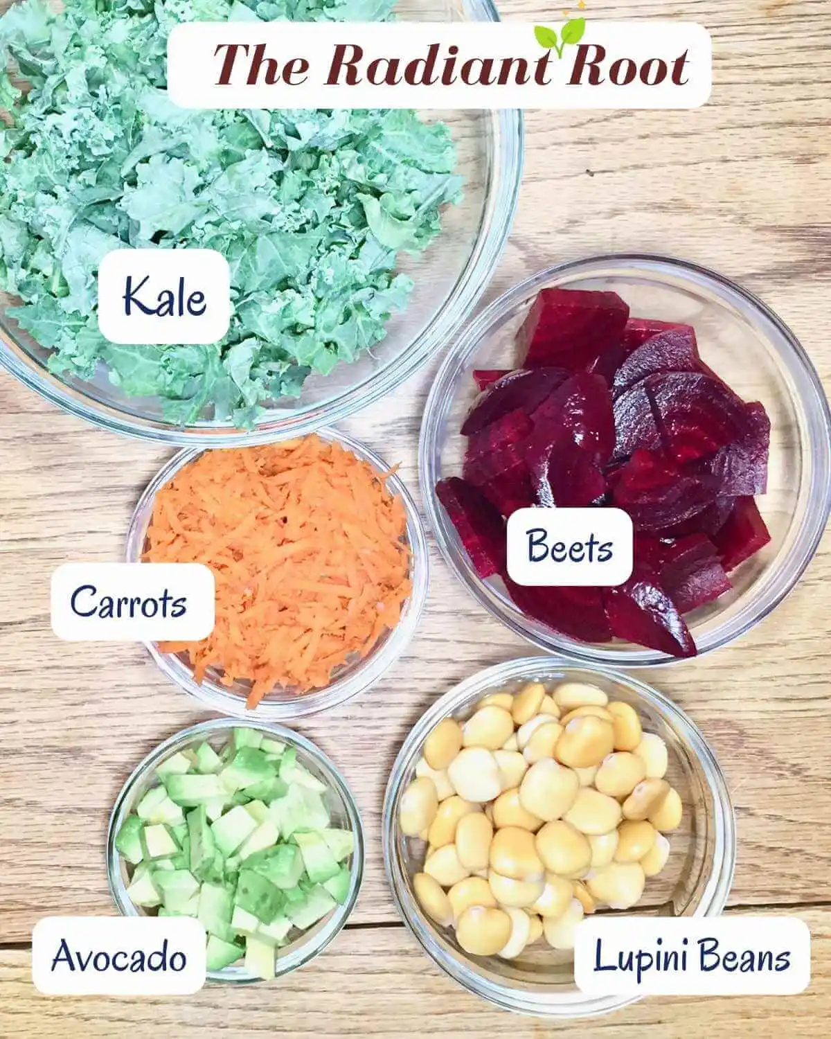 The top shows the words “The Radiant Root” on top of a wooden table with small glass bowls containing the salad ingredients for Lupini Beans Salad: kale, carrots, beets, carrots, avocado, and lupini beans. Next to each ingredient is says the name “kale,” “carrots,” “avocado,” and “lupini beans.” | lupini bean nutrition | The Radiant Root