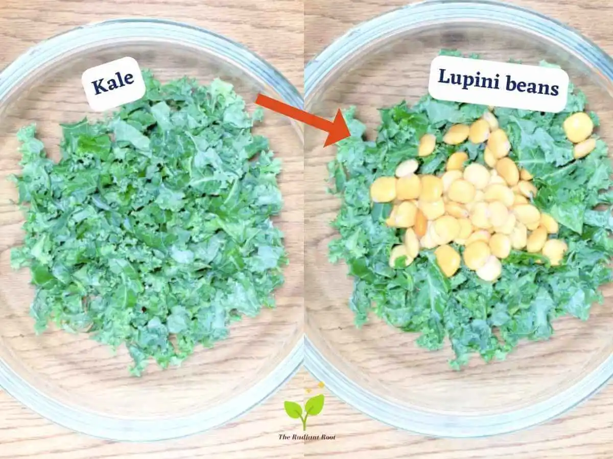 Lupini beans salad photo 8 and 9 of 15 : On the left there is a wooden table with a clear glass bowl containing the salad ingredient kale. It reads “kale.” There is a red arrow in the middle pointing to the right photo. On the right there is the same clear glass bowl containing kale and lupini beans. It reads “lupini beans.” | lupini beans salad dressing | The Radiant Root